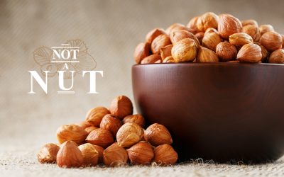 Bağışıklığı Güçlendirmek İçin Fındık